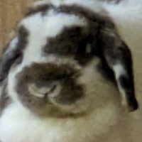神様トンボみ〜つけた (@4g3a4jcuxh2lvdb) 's Twitter Profile