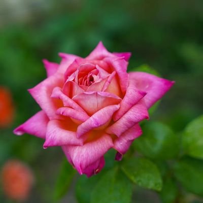 robbie_p51art's profile picture. 