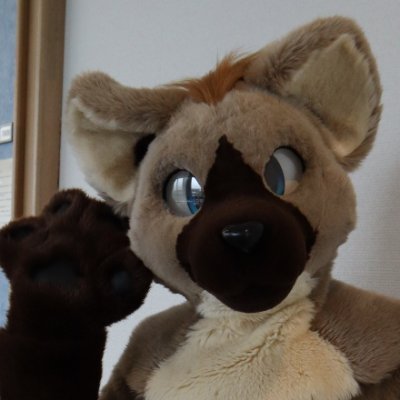 西月みかほです。着ぐるみ垢つくりました。ハイエナの男の子、ジュリアンがいます。犬工房さん(@Doggy_Studio)よりお迎え、2023年1月8日JMoFにてデビュー。主に東海地方の着ぐるみイベントに出没しています 本垢:@tsukimiya727 アイコン、ヘッダー(撮影):まやさん(@maya_107)