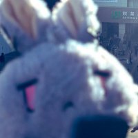 ƙԹԵ (@ruby_maestr0) Twitter profile photo