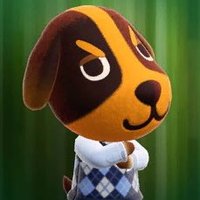 도삼 (@firsth00ky) 's Twitter Profile Photo