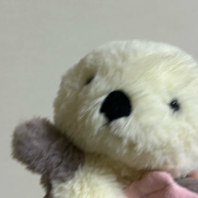取引垢🕊️ 経験100↑ 取引垢を作ったばかりなんでフォロワー様は少ないです💦
