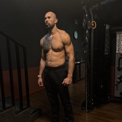 Tate_Tweets Profile