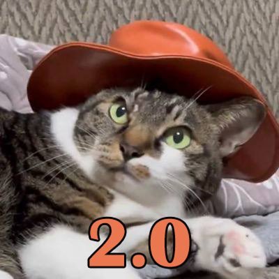 CatWifHatsol_2's profile picture. $CWH2.0 — Hats on, to the moon! 🐱🎩tg https://t.co/5CxHGpt86a

fuhfCeWhkHoAEXCZ8q5fB7tDHNGdfn7dE2v9EyS73NY