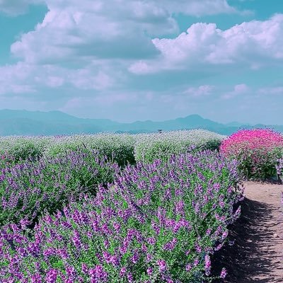 TheSakdi12303's profile picture. 