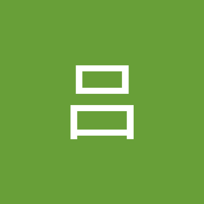 lil1116775's profile picture. 