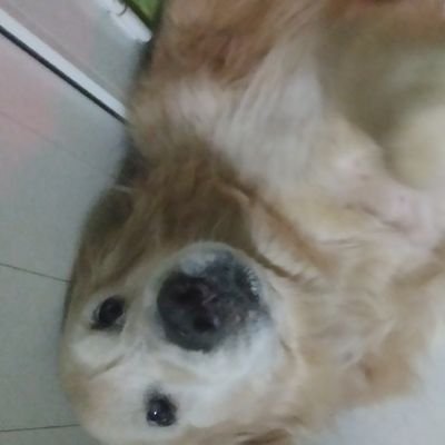 bruno_ocarp's profile picture. ç