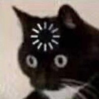 Mollu (@mollu____) 's Twitter Profile