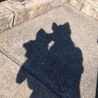 ねむむ (@mitimoti_) 's Twitter Profile