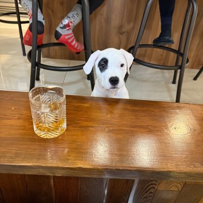 milanhayre96's profile picture. 