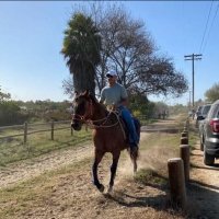 Guillermo Diaz (@gmocharger1) 's Twitter Profile Photo