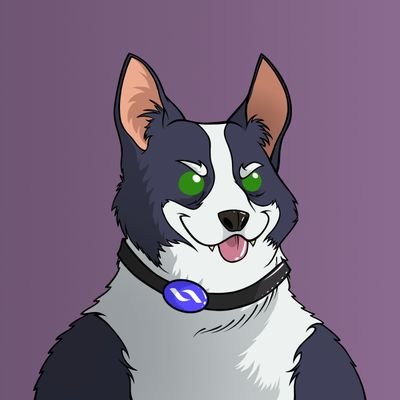 TmUVtrQJEn86513's profile picture. $welsh enthusiasts