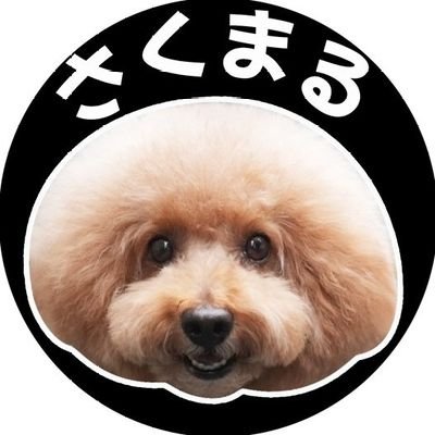 プードルさん専用 さくまる さくまる ZX DAMPER 詳細情報|RACING GEAR｜オンラインオート