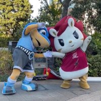 のりたま (@pooh_ys) 's Twitter Profile Photo のりたま (@pooh_ys) 's Twitter Profile Photo