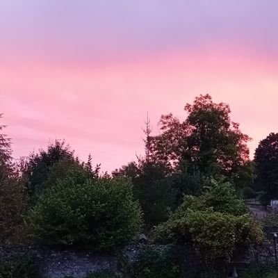 Skipie21's profile picture. 