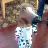 🥲 is missing atz, ooo, and dpr (@trufflezx) 's Twitter Profile
