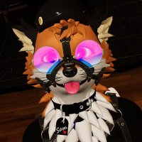 Notafurryipromise (@not_furrying) 's Twitter Profile
