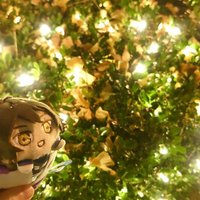 N21 (@meteor94562) 's Twitter Profile
