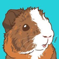 もきゅん (@funny_mokyun) Twitter profile photo
