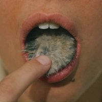 AG (@aformaldehyde) 's Twitter Profile