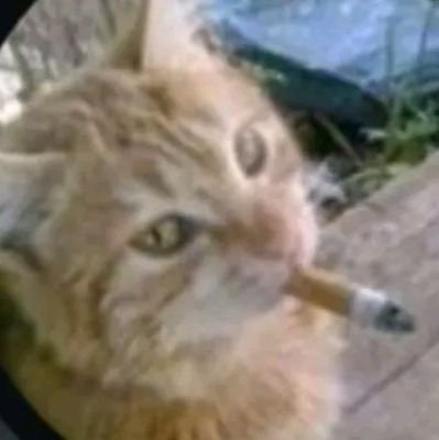 Notimportant096's profile picture. 