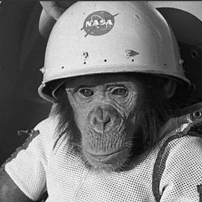 APThoma76664420's profile picture. 