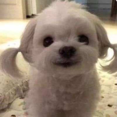 「MIMX」さんのプロフィール画像