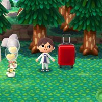 いと (@s4jch) 's Twitter Profile Photo