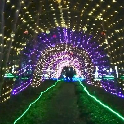 40代です。最近、WANDSとジグザグ⛩️にハマってます。無言フォロー&フォロバお許しください🙏