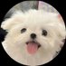 휴지 (@luvmywh) Twitter profile photo 휴지 (@luvmywh) Twitter profile photo