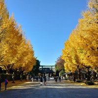 🇯🇵純国産ニキ🇯🇵 (@japanfirstest) 's Twitter Profile Photo