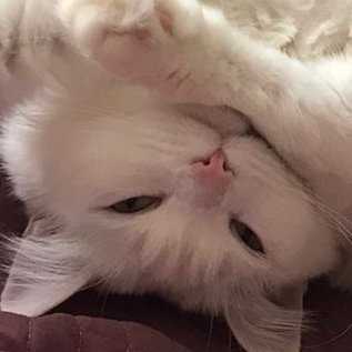 noiseblacc's profile picture. 