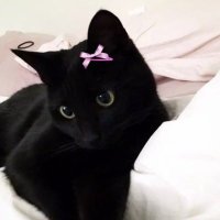 💭 (@suzzz79) 's Twitter Profile Photo