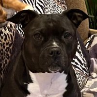 Nancy Roberts (@nancyro77555853) 's Twitter Profile Photo Nancy Roberts (@nancyro77555853) 's Twitter Profile Photo