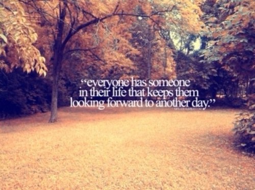 Fall201213's profile picture. 