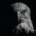 Siberia (@siberiiaa80) Twitter profile photo Siberia (@siberiiaa80) Twitter profile photo
