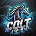COLT ESPORTS (@colt_esports_cr) Twitter profile photo COLT ESPORTS (@colt_esports_cr) Twitter profile photo