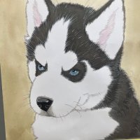 野山 (@wainokiroku_go) 's Twitter Profile Photo 野山 (@wainokiroku_go) 's Twitter Profile Photo