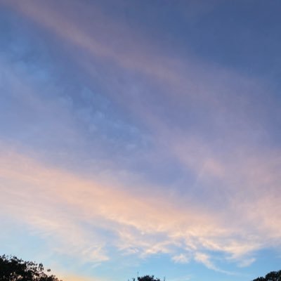 xffnffeieirai's profile picture. 