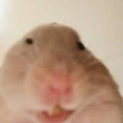 s_sk93's profile picture. @skryu_des 💫