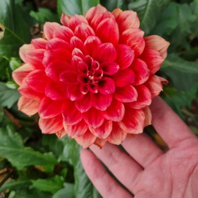 1MysticRose's profile picture. 私たちは専門的な医術と温かい思いやりで👩‍⚕️、患者に希望と健康をもたらし、生命の一瞬一瞬を守ります。🏥