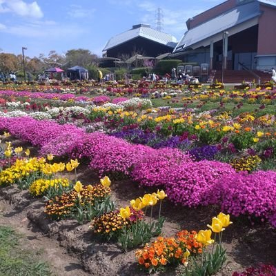 生活は絵のようでカラフルで、心を込めて一瞬ごとの美しさを感じ、平凡を詩のように感動させるのが大好きです。✨