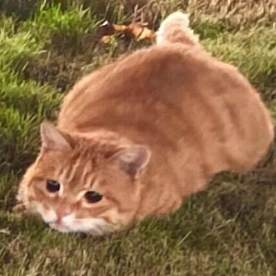 밤탱이さんのプロフィール画像