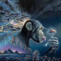 Stoned Ape (@sto_ape) 's Twitter Profile