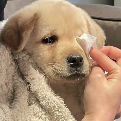 baemh_i's profile picture. 