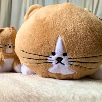 もちこ (@skmochy) 's Twitter Profile