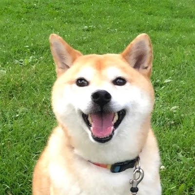 kogame_prospi's profile picture. 