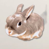 レイラの日課&ちびっこ達🐰 (@kurochan_rabi) 's Twitter Profile Photo レイラの日課&ちびっこ達🐰 (@kurochan_rabi) 's Twitter Profile Photo