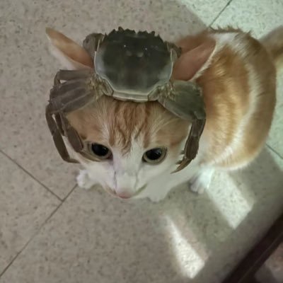 eastsmountain's profile picture. 