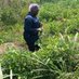 Farming at heart ❤️ (@namaararuth) Twitter profile photo Farming at heart ❤️ (@namaararuth) Twitter profile photo
